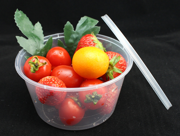 Best Selling Injection PP Plastic Food Container