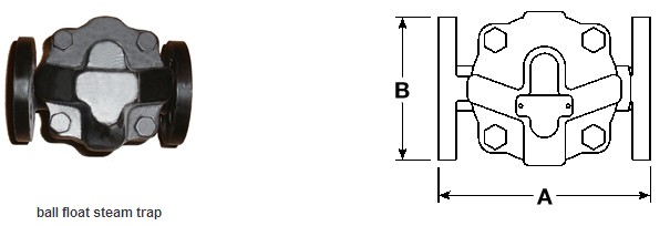 Ball Float Steam Valve (GAFT14)