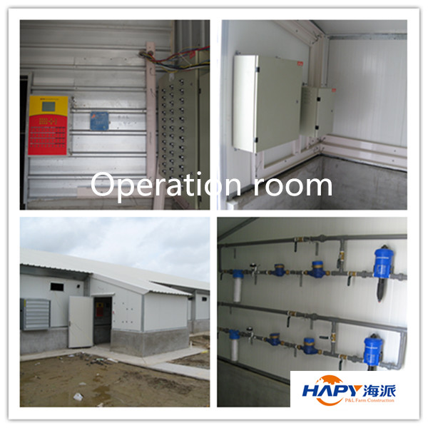 Automatic Poultry Drinking Equipment for Chicken