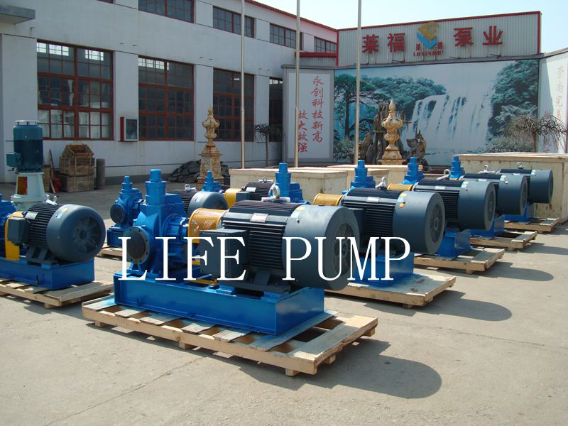 Hebei Life Nyp Type Internal Gear Oil Pump