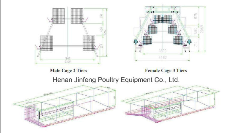 a Type Automatic Chicken Equipment Frame Cage for Farm Use (JFLS0621)