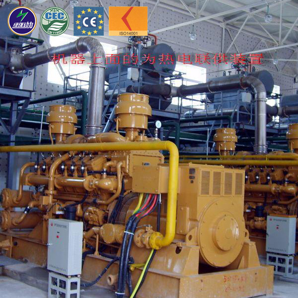 Combined Heat and Power Biogas Generator Electricity 500kw Natural Gas Biogas Generator