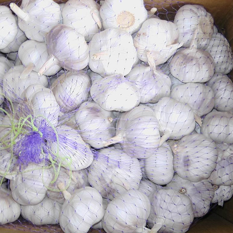 New Crop Fresh Chinese Normal White Garlic