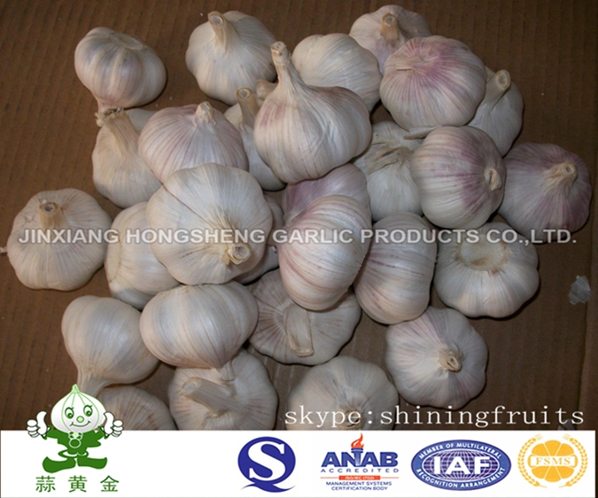 Normal White Garlic 10kgs Carton Packing From China