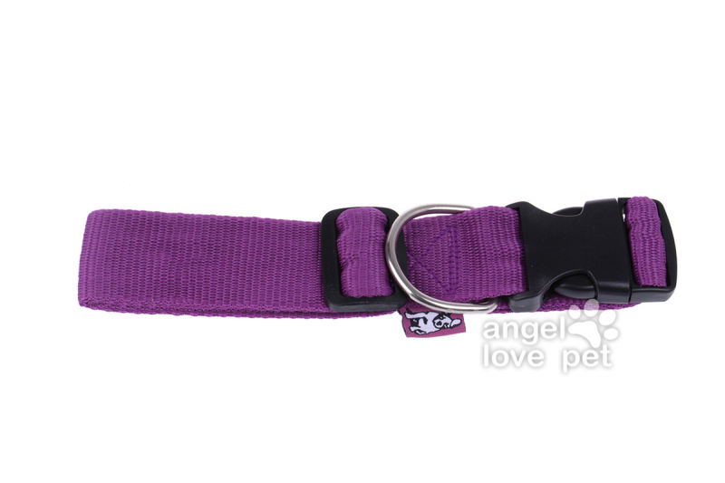 Big Purple Dog Collar, Pet Product