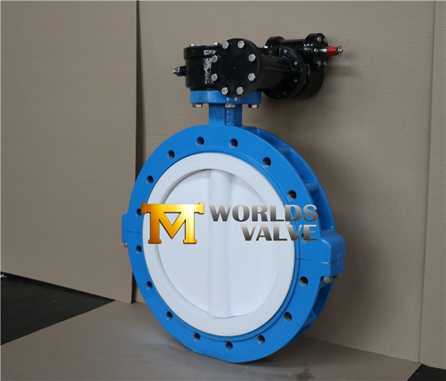 PTFE Lining Full Lug Type Butterfly Valve (D41X-10/16)