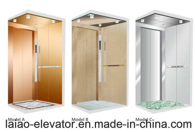 Good Decoration Low Price Observation Elevator & Passenger Lift