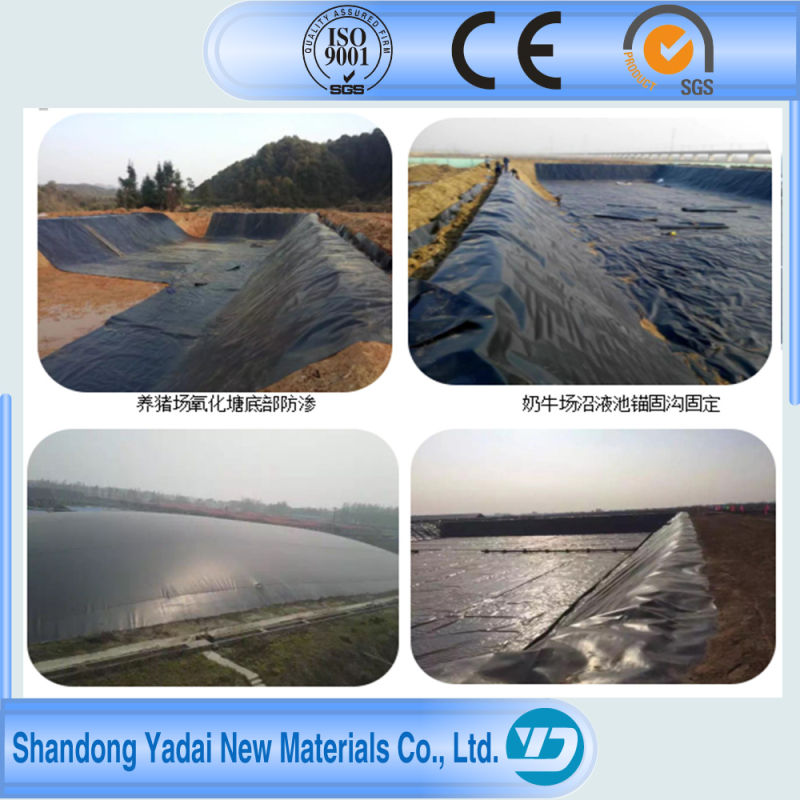 HDPE Geomembrane HDPE Sheets for Waterproofing