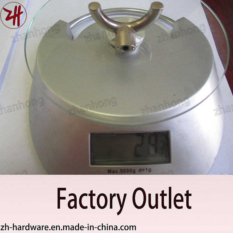 Factory Direct Sale All Kind of Hanger and Hook (ZH-2036)