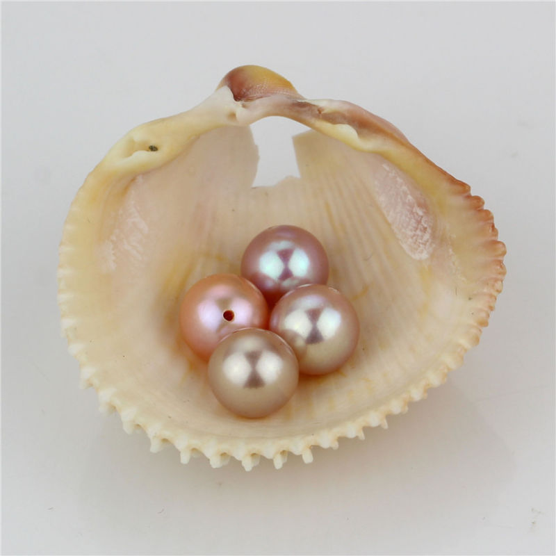 Snh Purple Color 7.5-8mm AAA Best Quality Natural Pearl Beads