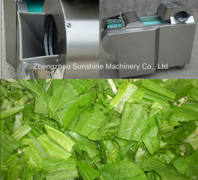 Top Sale Good 660kg Stainless Steel with Vegetable Cutter Machine