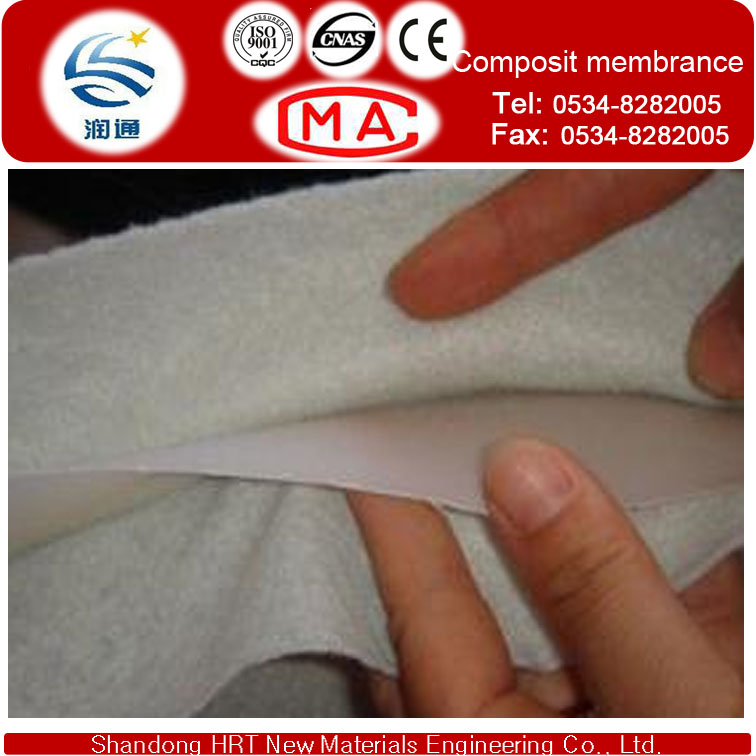 Coat Geotextile HDPE Membrane USD0.75/Sqm for 400g/Sqm for Dam