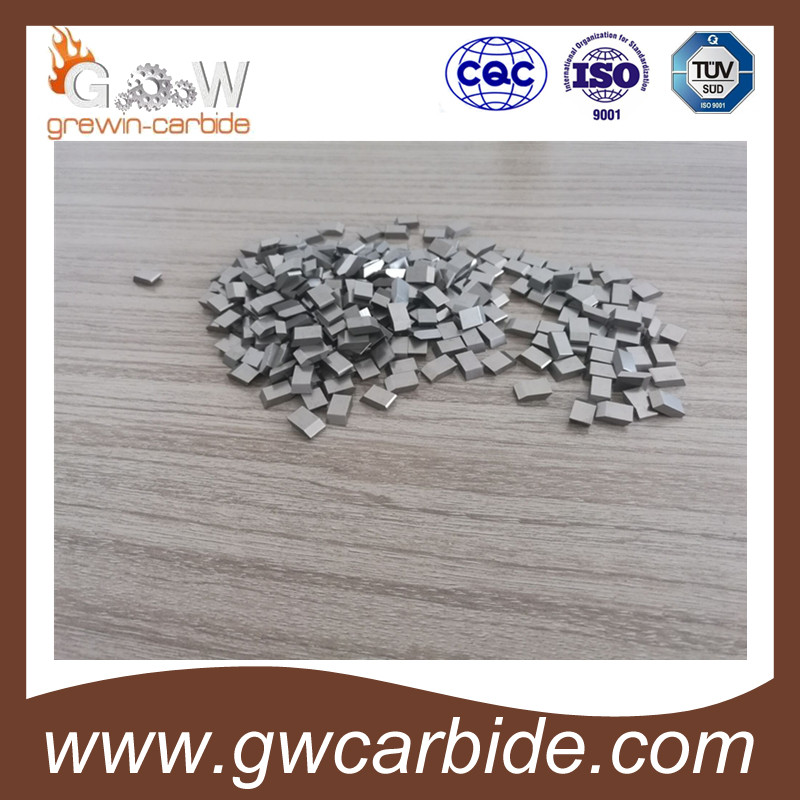 Tungsten Carbide Saw Tips with High Quality and Various Sizes