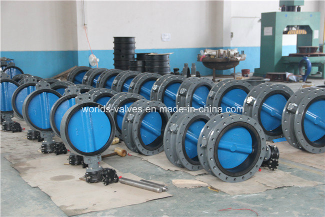 Double Flange Butterfly Valve with Paining Disc