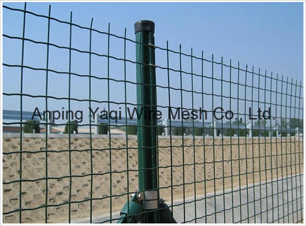 Anping Factory Euro Wire Mesh Fence PVC Coated Hot DIP Galvanized Cheap