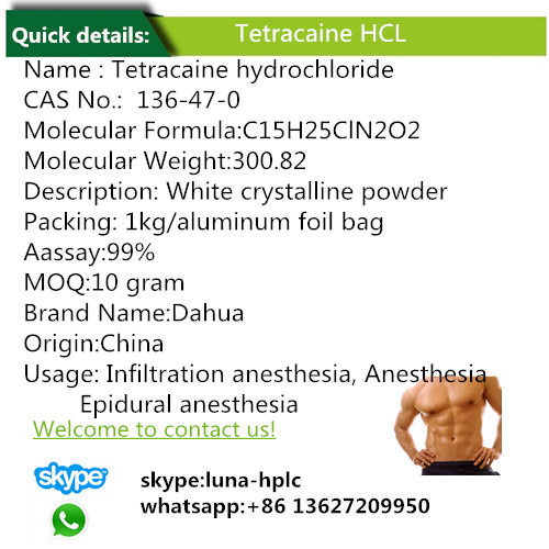 Anesthetic Tetracaine CAS: 136-47-0 Hydrochloride Tetracaine HCl/Tetracaine