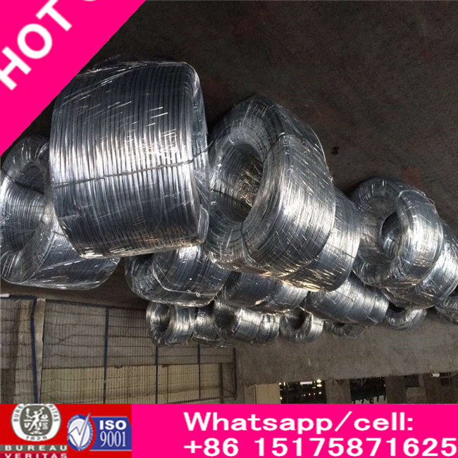 High Carbon Galvanized Steel Roping Wire with Zinc Coating