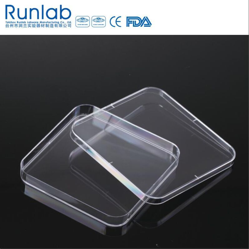 CE Approved 130*130mm Disposable Plastic Square Culture Petri Dish