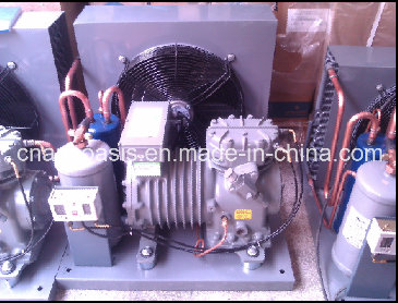 Semi-Hermetic Copeland Condensing Unit (Dll-301)