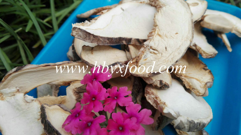 Chinese Dried Mushroom Slice From Hubei Yongxing