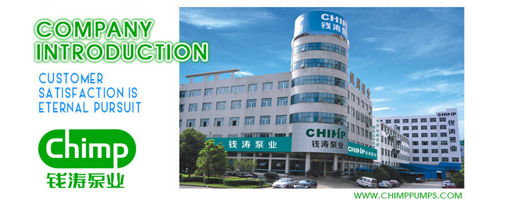 Chimp Chl (K) Series 20m3/H 4.0kw 3-Stage Food/Sea Usage Multistage Horizontal Stainless Steel Centrifugal Pumps