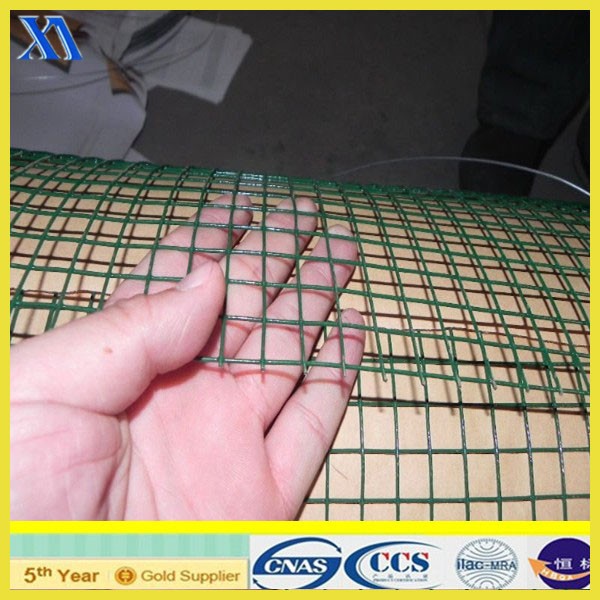 Anping PVC Coated Welded Wire Mesh (XA-419)