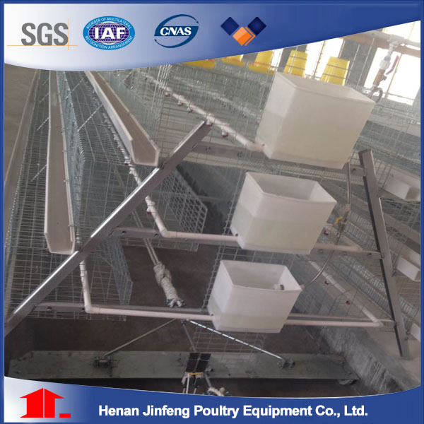 Breeder Cage in Poultry Farm