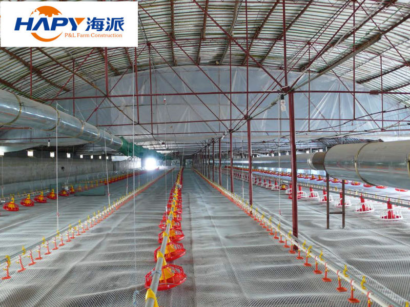 Automatic Equipment in Poultry House with Good Quality