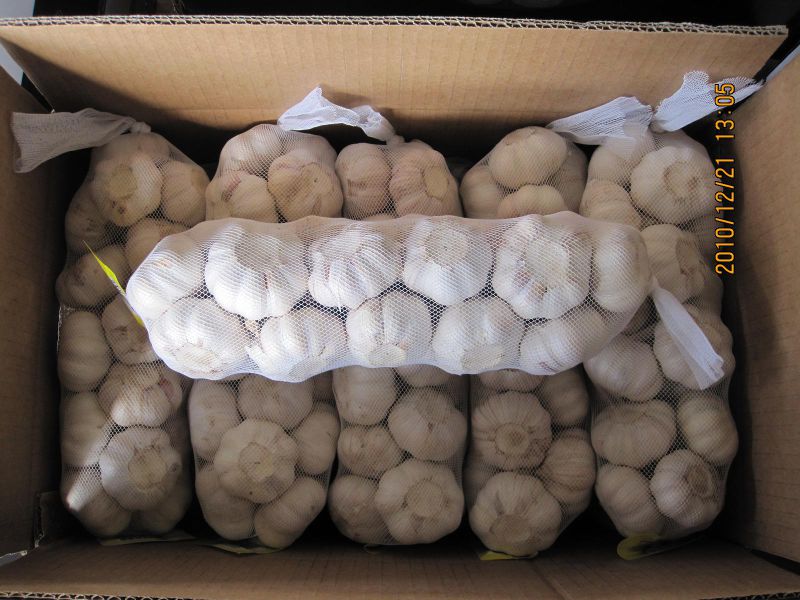 Reliable Supplier for Pure White Garlic (5.5cm and up)