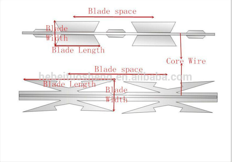 Coil Razor Wire /Razor Wire Price