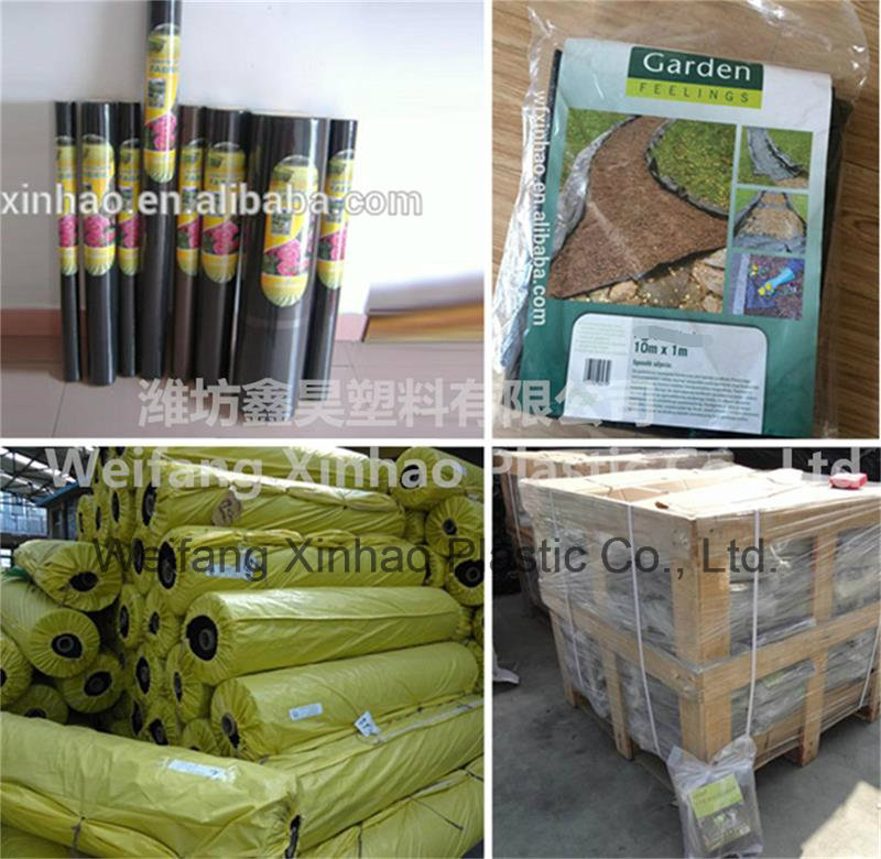 Weed Control Mat Fabric for Agricultural Plants