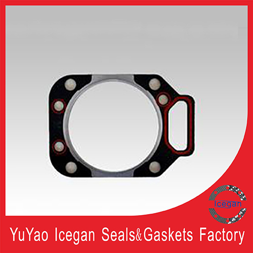 Cylinder Head Gasket/Cylinder Cover Gasket Ig080