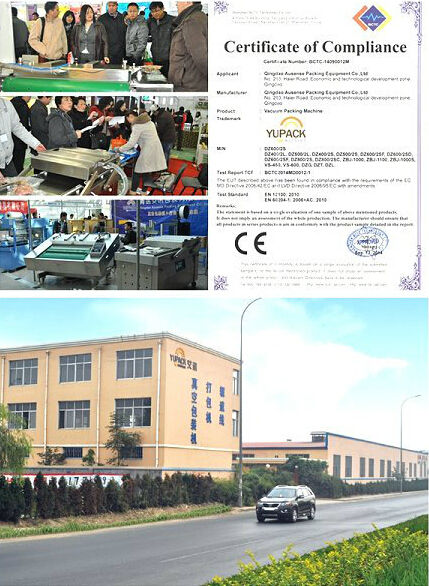 LCD Control System Dzg600 Closet Type Vacuum Packing&Vacuum Chamber Machine or Machine Vacuum