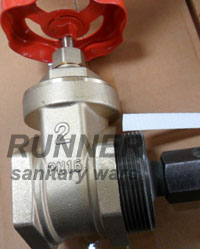 Forged Brass Gate Valve (V23-004)