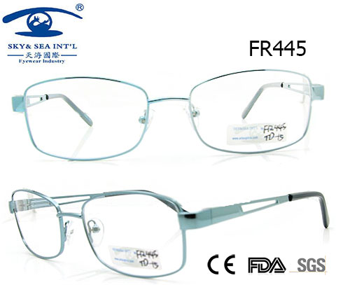 Classical Style Metal Glasses Frame (FR445)