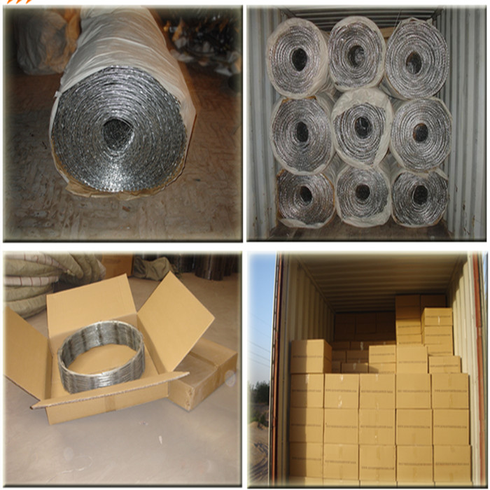 Galvanized Concertina Razor Wire for Protection