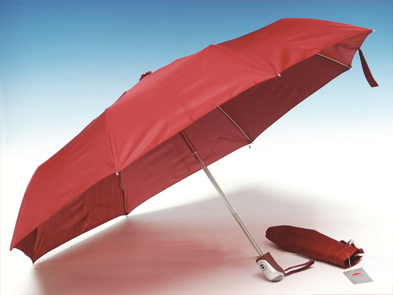 Auto Open and Close 3 Fold Umbrella (SK-019)