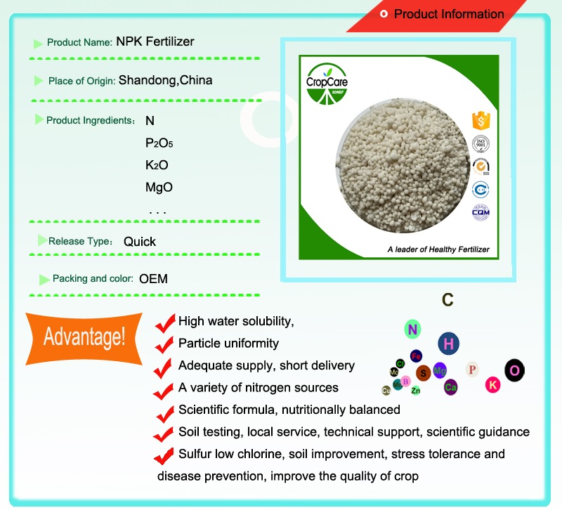 High Quality Hot Sale NPK Fertilizer 30-10-10
