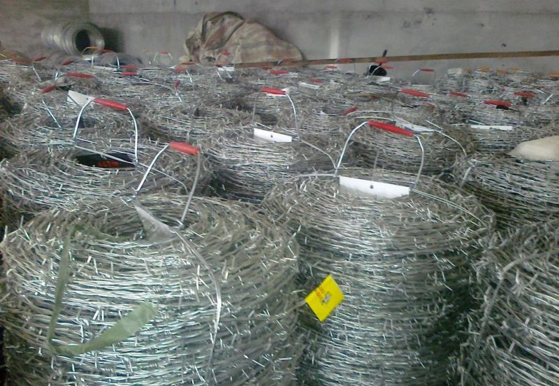 Barbed Wire Bwg12*Bwg14 Hot Sale with Certification