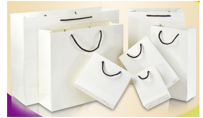 Promotional Paper Gift Bag, Clothes Shopping Paper Bags.