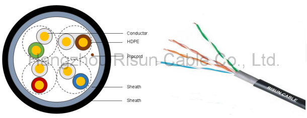 Passed Us Standard Fluke Test Double Jacket UTP Cat5e Network Cable