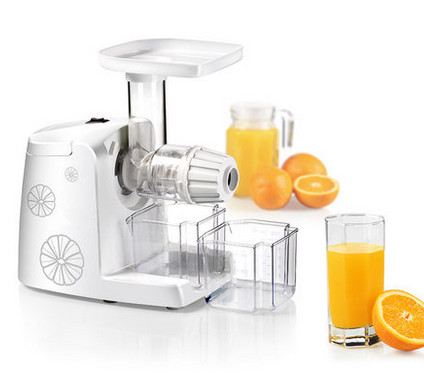 Manual Slow Juicer