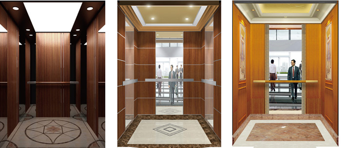 Stable & Standard Elevator Lift with Good Price (WP30, WPN30)