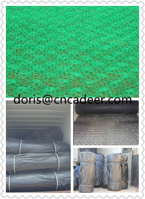 3D Erosion Control Mat Em3 and Plastic Geomat for Landscape