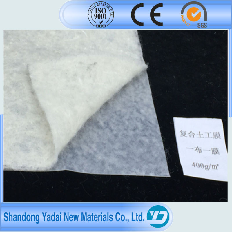 HDPE LDPE Film Fabric Geocomposite Geomembrane for Fish Pond