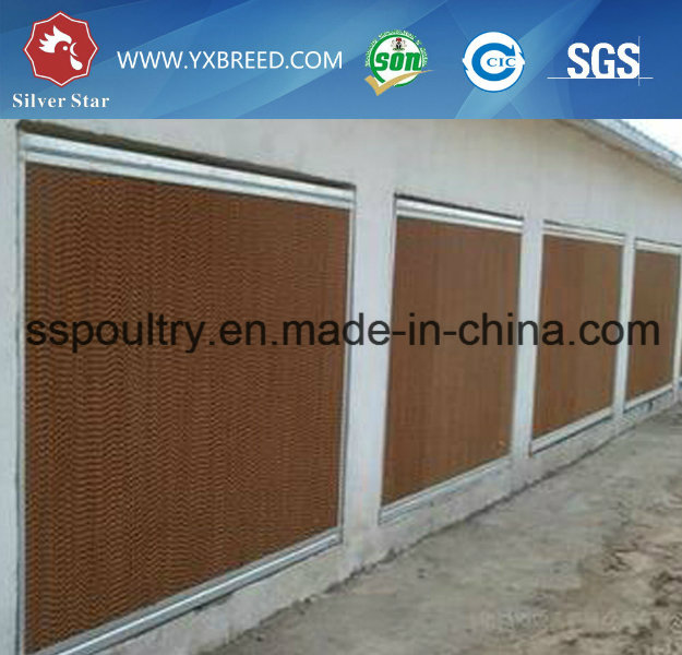 Q235 Steel Chicken Cage Poultry Equipment for Layer or Broiler