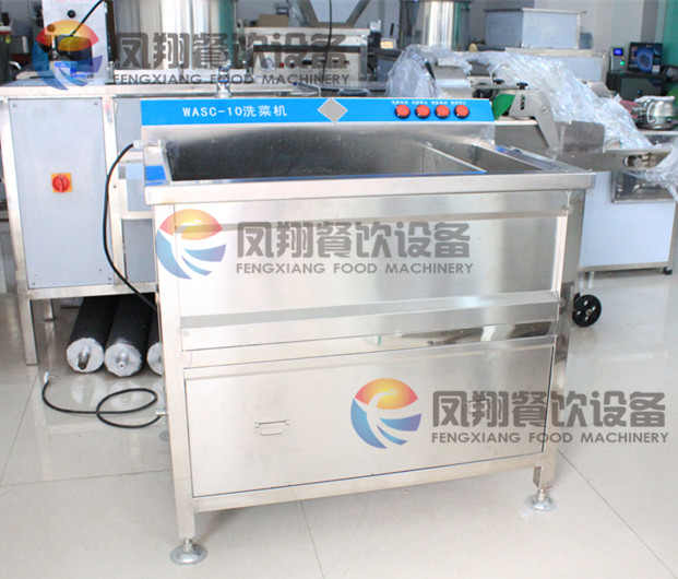 Wasc-10 Cabbage Washing and Cleaning Machine, Cabbage Washing Machine, Cabbage Cleaning Machine