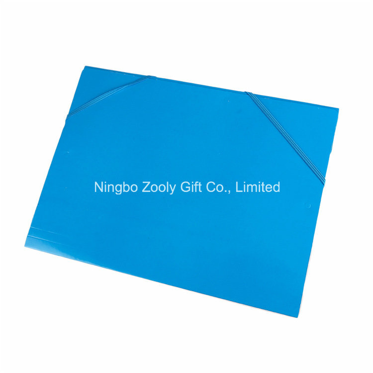 A4 Index Divider Twin Pocket Folders Presentation Paper File