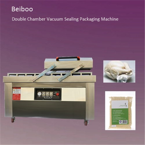 Double Chamber Vacuum Sealing Packaging Machine RS600d