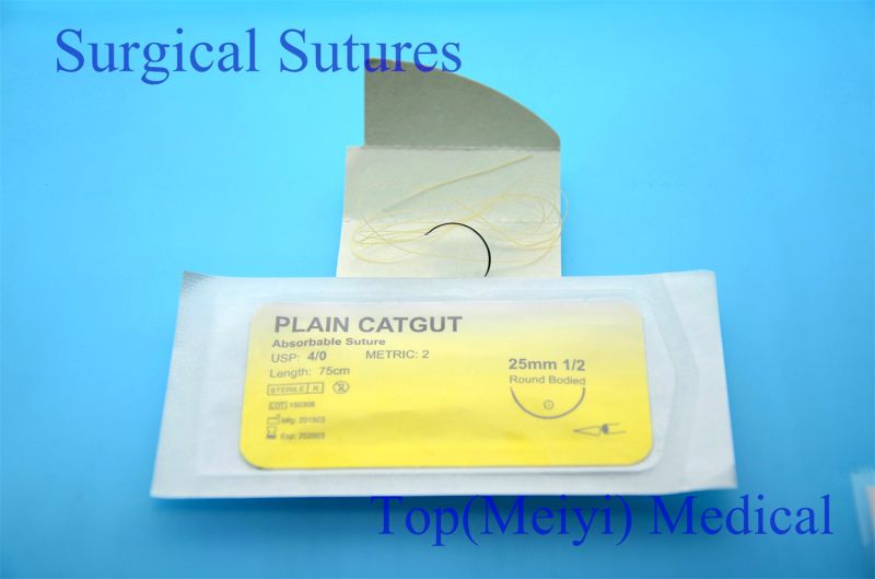 Surgical Suture -- Plain Catgut Surgical Suture with Needle